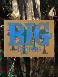 Big Cypress print
