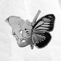 PREORDER: Butterfly