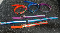 PVC Dog Collar (With custom name plate)