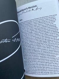 Image 5 of In the Delirium of the Simulation: Baudrillard Revisited