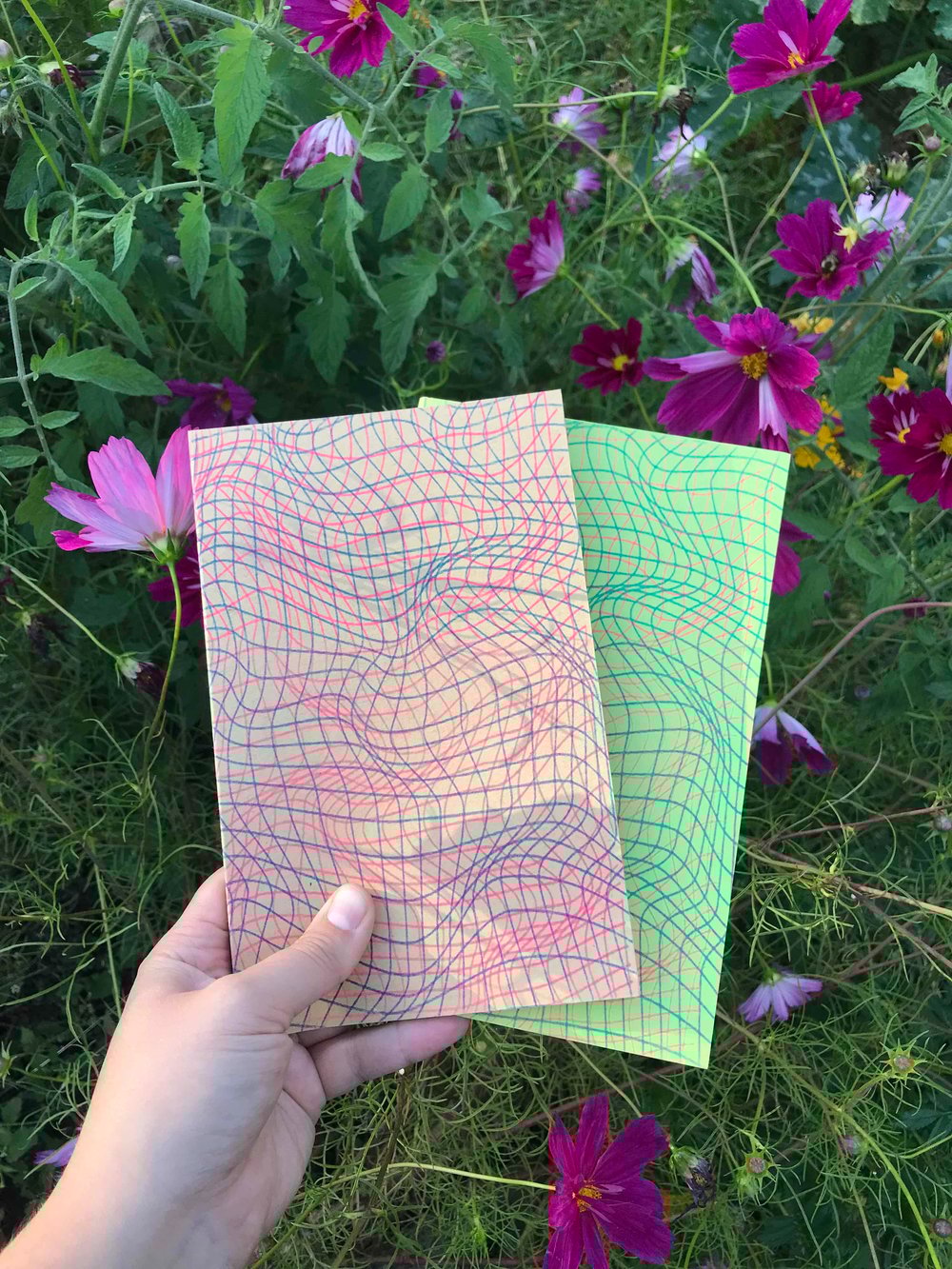 Image of Warped Grids