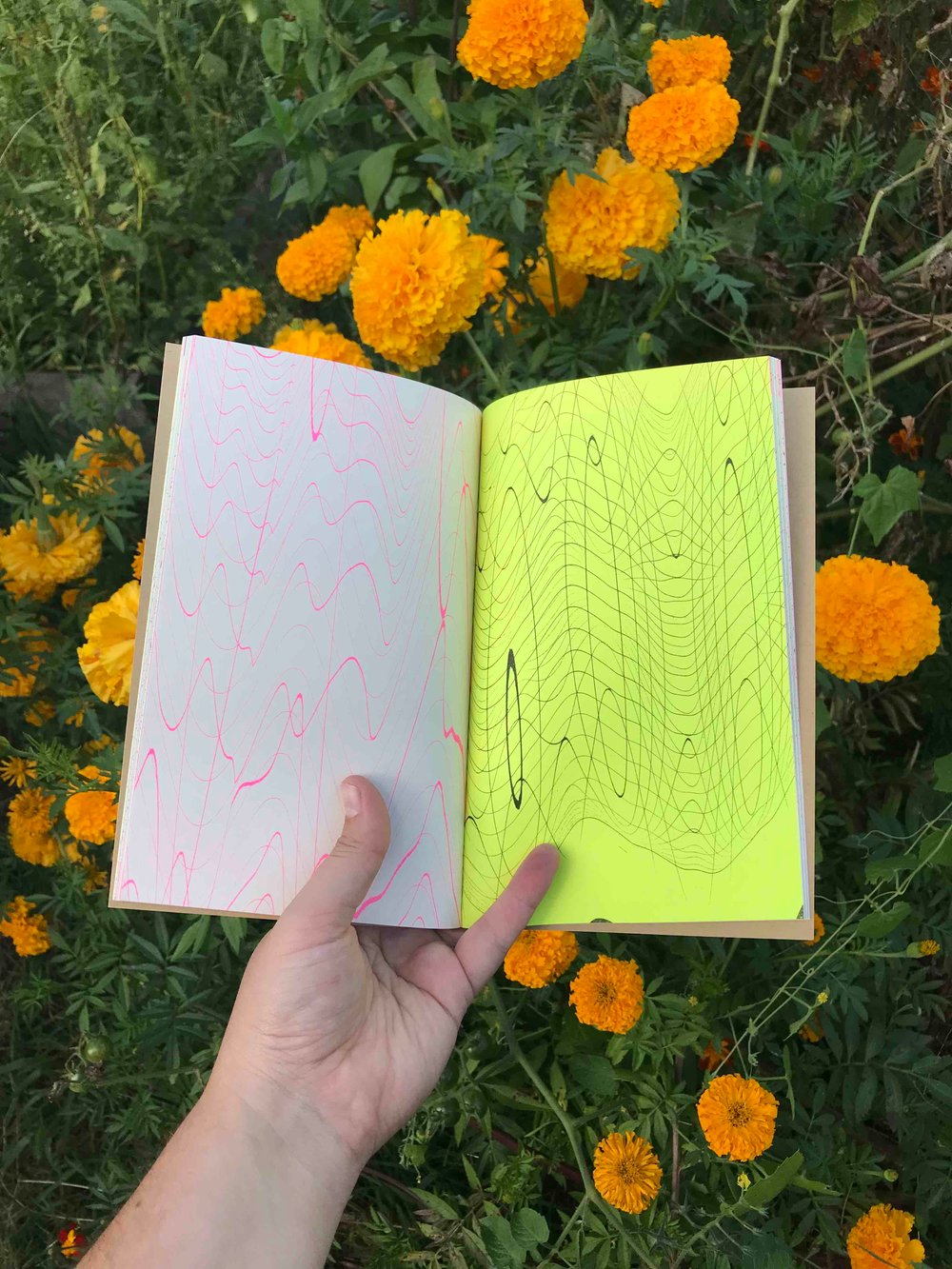 Image of Warped Grids