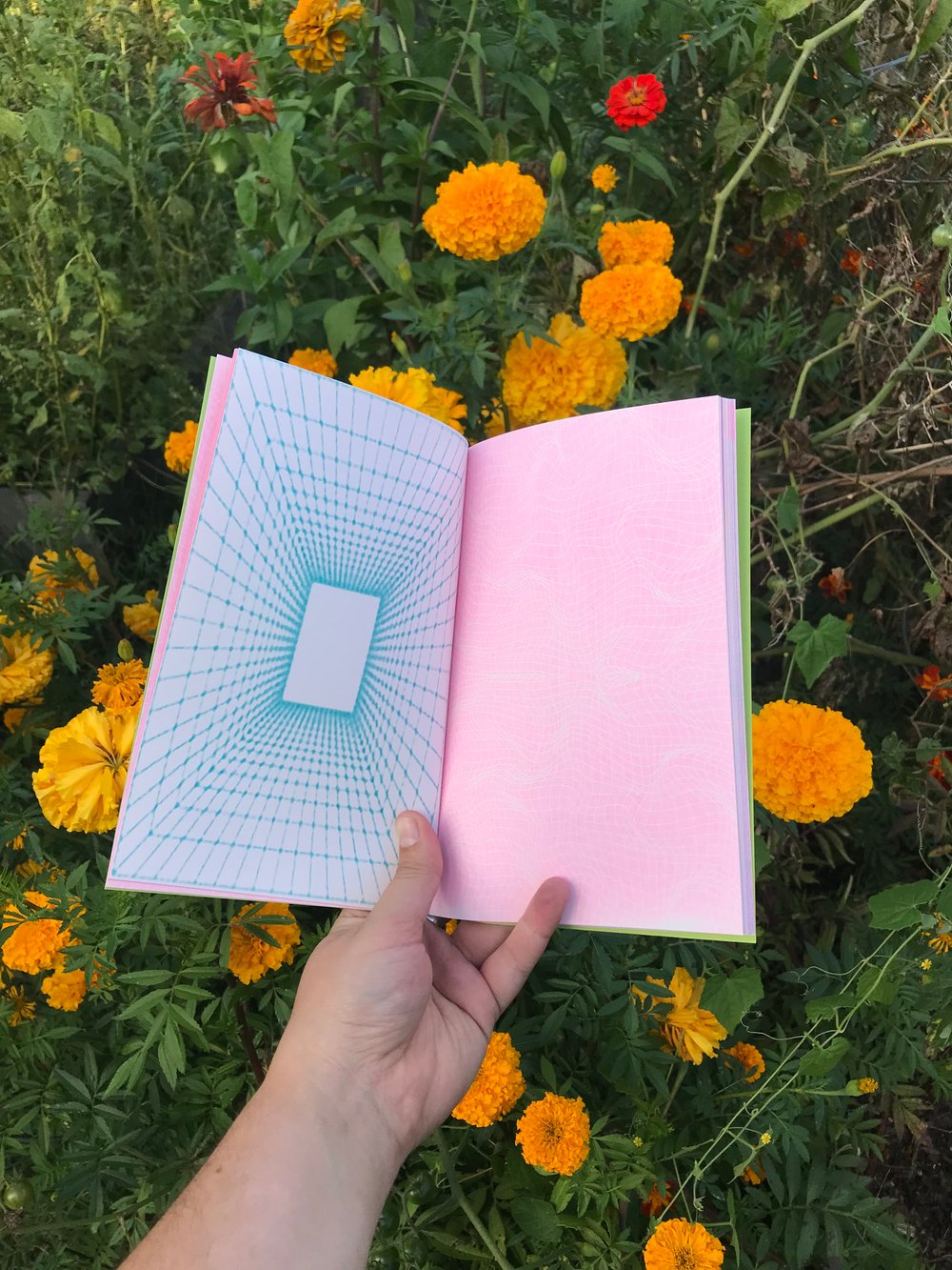 Image of Warped Grids