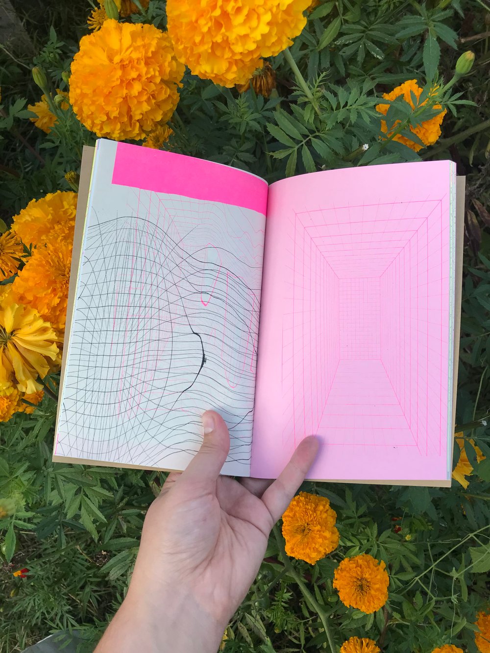 Image of Warped Grids