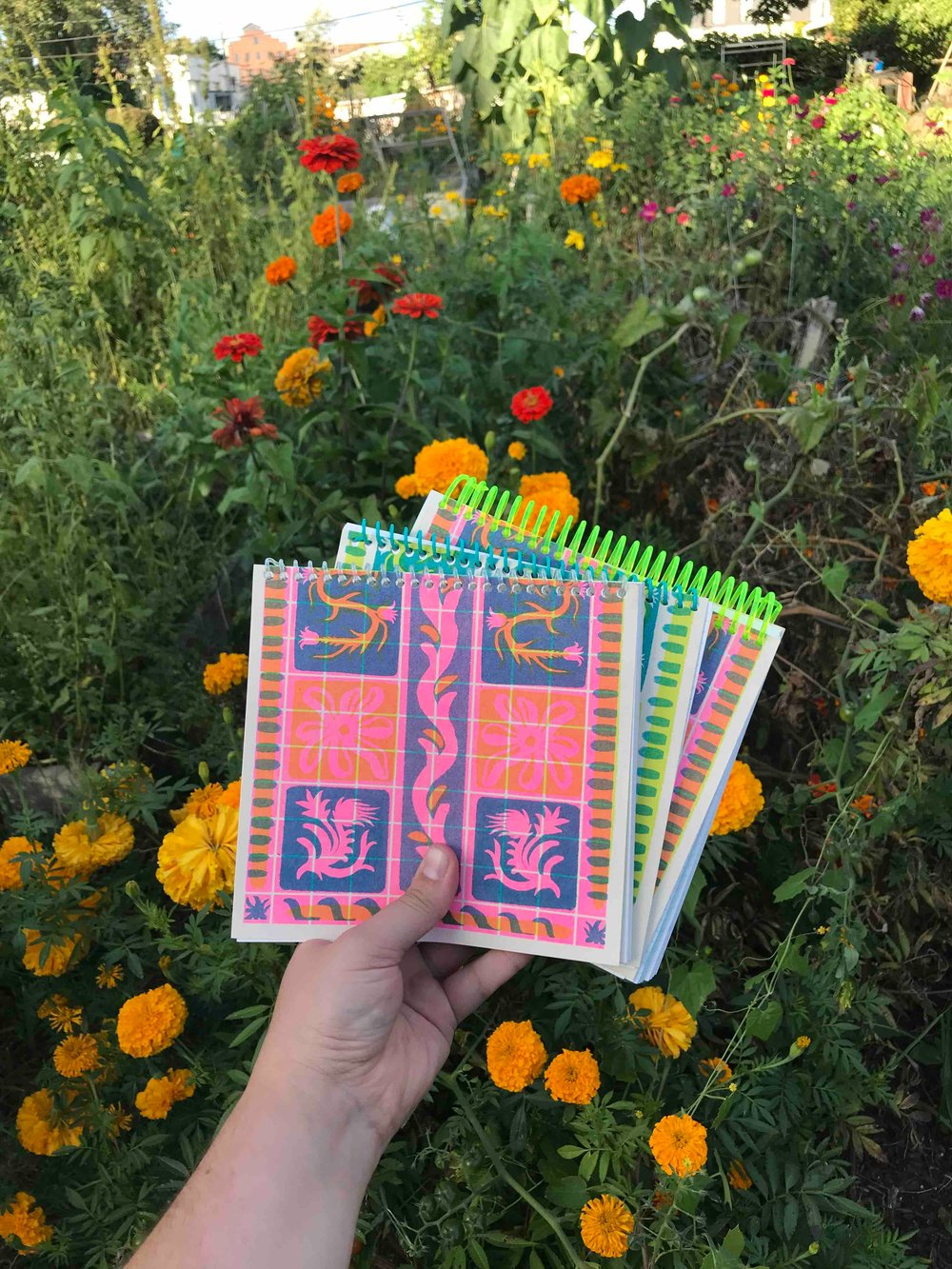 Image of Gridded Notebooks