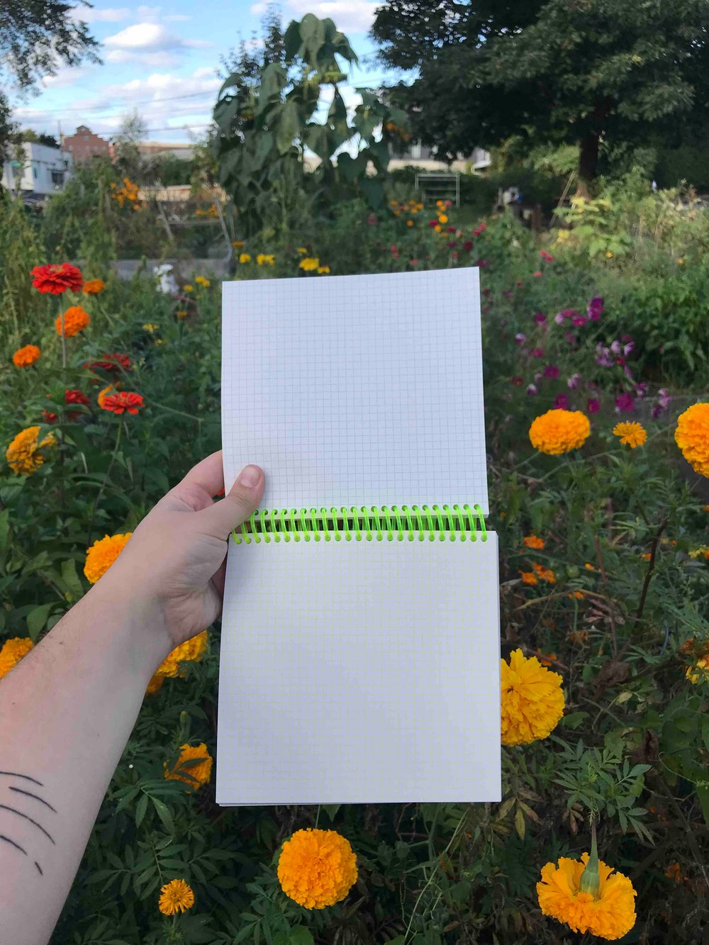 Image of Gridded Notebooks