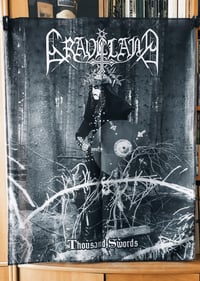 Image 1 of Thousand Swords - Flag 2026