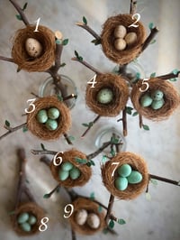 Image 2 of Spun Cotton Eggs in Nests (9 options) 