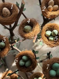 Image 4 of Spun Cotton Eggs in Nests (9 options) 