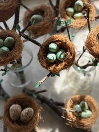 Image 5 of Spun Cotton Eggs in Nests (9 options) 