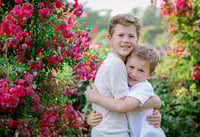 Image 3 of Elizabeth Park Mini Sessions June 12th-14th