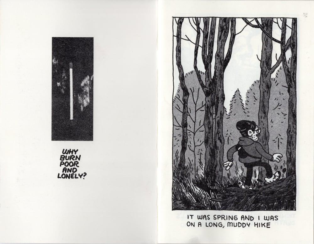 Image of Seeds in Ash