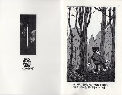 Image of Seeds in Ash