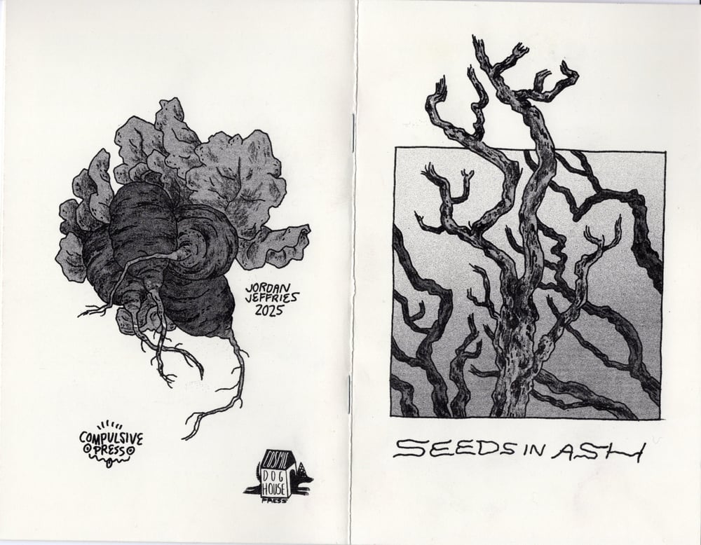 Image of Seeds in Ash