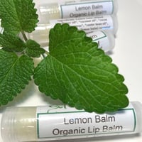 Image 1 of Lemon Balm Herb Lip Balm, Melissa officinalis balm, Organic Ingredients