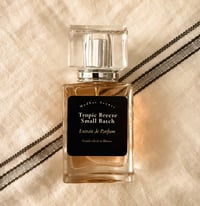 Image 2 of Tropic Breeze Extrait de Parfum – Small Batch — Topical Fruit. Sandalwood. Oud.