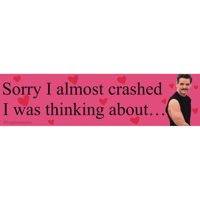 PEDRO CRASHED BUMPER STICKER 