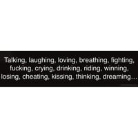 L WORD THEME SONG BUMPER STICKER 