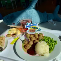 I Got Neutered at Ikea