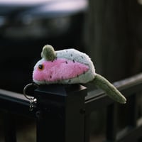 Image 1 of Rat - Rainbow Trout Colors