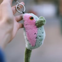 Image 2 of Rat - Rainbow Trout Colors