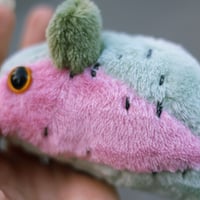 Image 3 of Rat - Rainbow Trout Colors