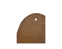 Image 3 of Orchid Mount - Stock # M25011