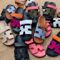 Image 2 of Hermes Slides