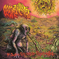 PLASMODULATED "An ocean ov putrid, stinky, vile, disgusting hell" LP