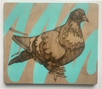 Pigeon pyro