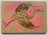 Heron