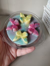 Image 1 of Summer Radiance Butterfly Snap Pot