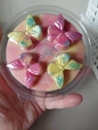 Image 2 of Summer Radiance Butterfly Snap Pot