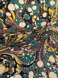 Image 2 of 'Green Antique Spot' - matched to an antique endpaper 