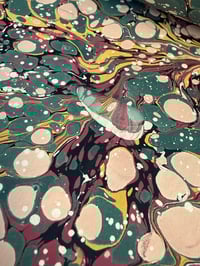 Image 4 of 'Green Antique Spot' - matched to an antique endpaper 