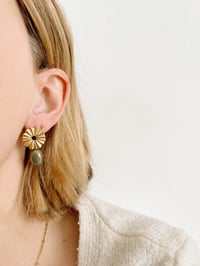 Image 2 of BO Lucia // Pyrite  