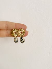 Image 1 of BO Lucia // Jaspe Dalmatien 