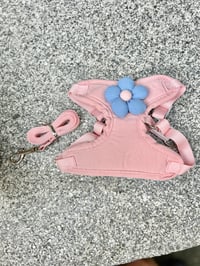 Image 2 of Mia Harness & Leash