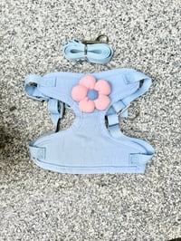 Image 4 of Mia Harness & Leash