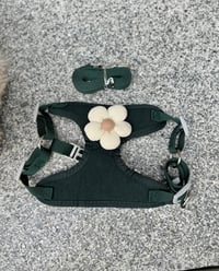 Image 5 of Mia Harness & Leash