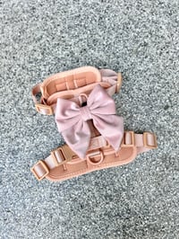 Image 2 of Riley Harness 