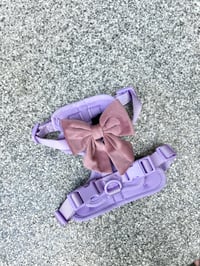 Image 3 of Riley Harness 