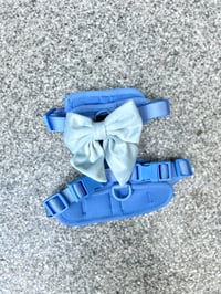 Image 4 of Riley Harness 