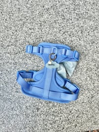 Image 5 of Riley Harness 