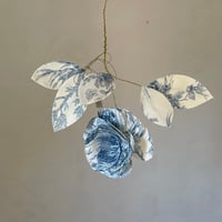Image 2 of Être fleur bleue n*14