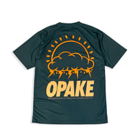 Image 2 of STACKED HARD LOGO DRIFIT - FOREST