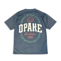 Image 2 of VARSITY CREST LOGO DRIFIT - SLATE