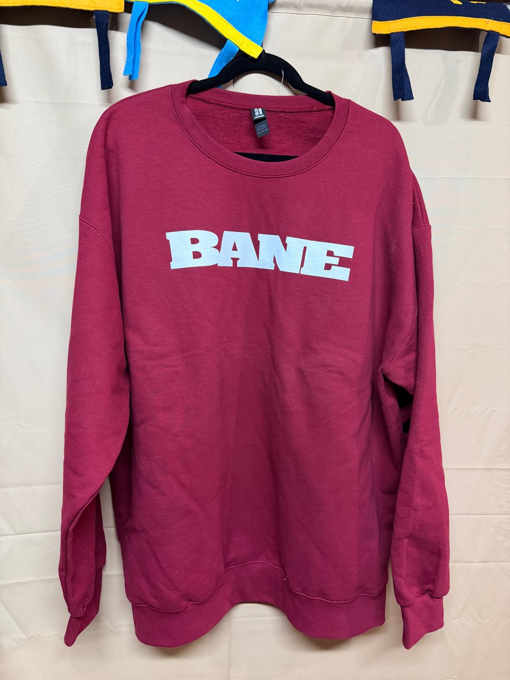 BANE Open Minds Open Hearts 10.5oz Crewneck 