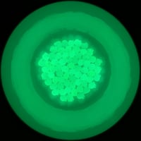 Image 5 of Micro-Critters