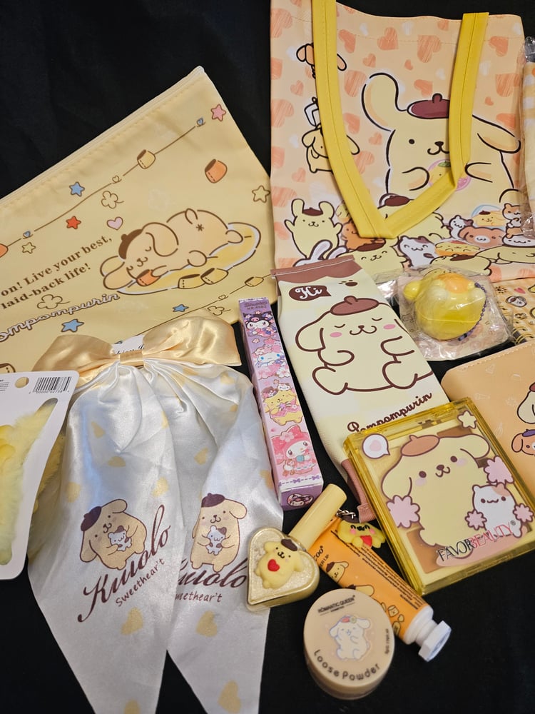 Image of Do not Purchase,  Savannah's Custom RESERVED Bundle!Pompompurin Bundle 